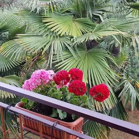 Appartement Casa Celestina